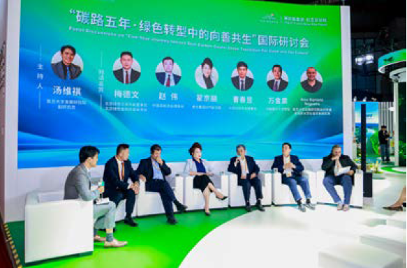 项目图片